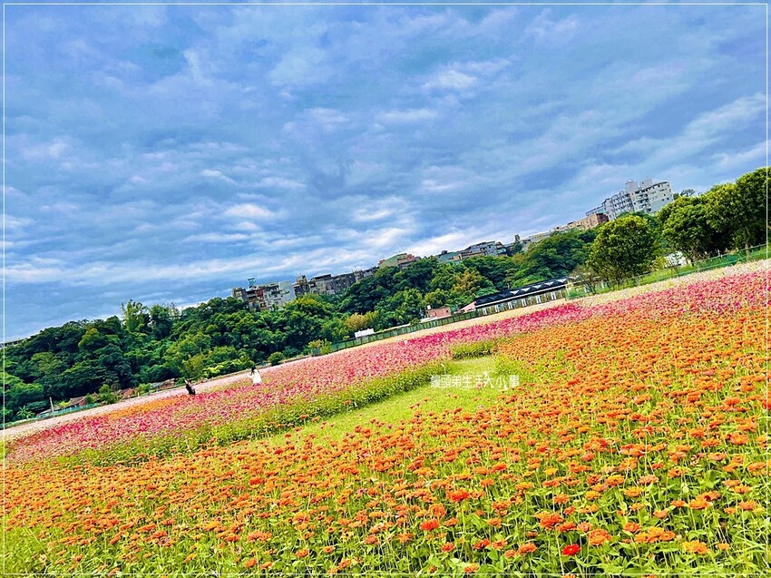 /tmp/php1jBBu0 /tmp/php1jBBu0