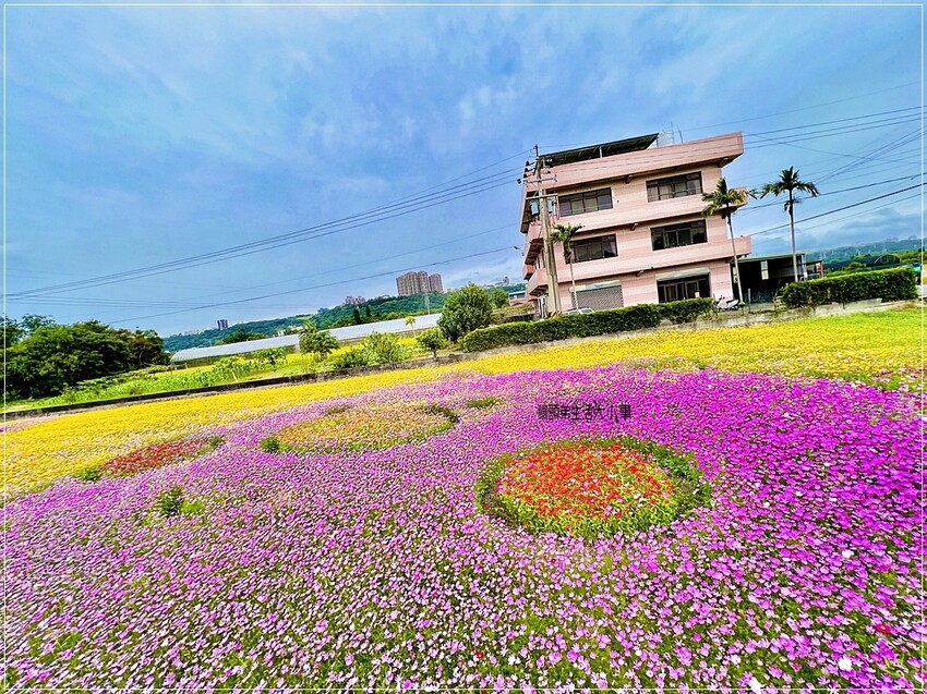 /tmp/phpDcVBKq /tmp/phpDcVBKq