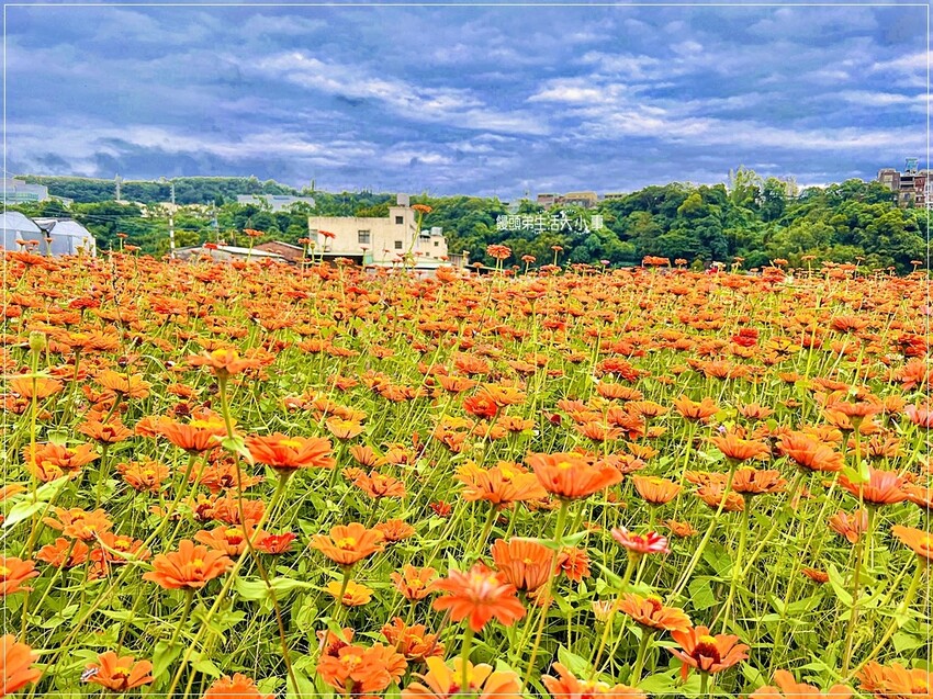 /tmp/php59SRoe /tmp/php59SRoe