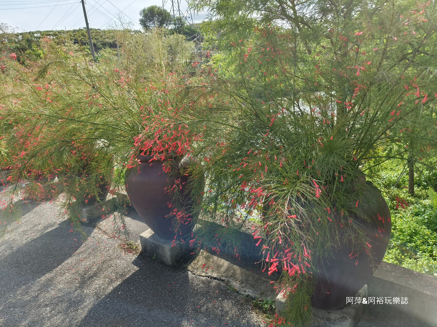 【台南玉井】「白色教堂」隱藏在山林中的夢幻景點| 純白建築中享受另一種悠閒浪漫生活|