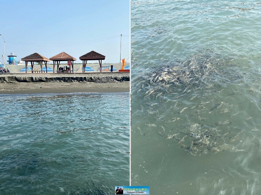 【高雄景點】「彌陀漁港海岸光廊」|網美打卡必拍海中木棧道|玩水沙灘溜滑梯 |阿部乳坊旅人系列欣賞|