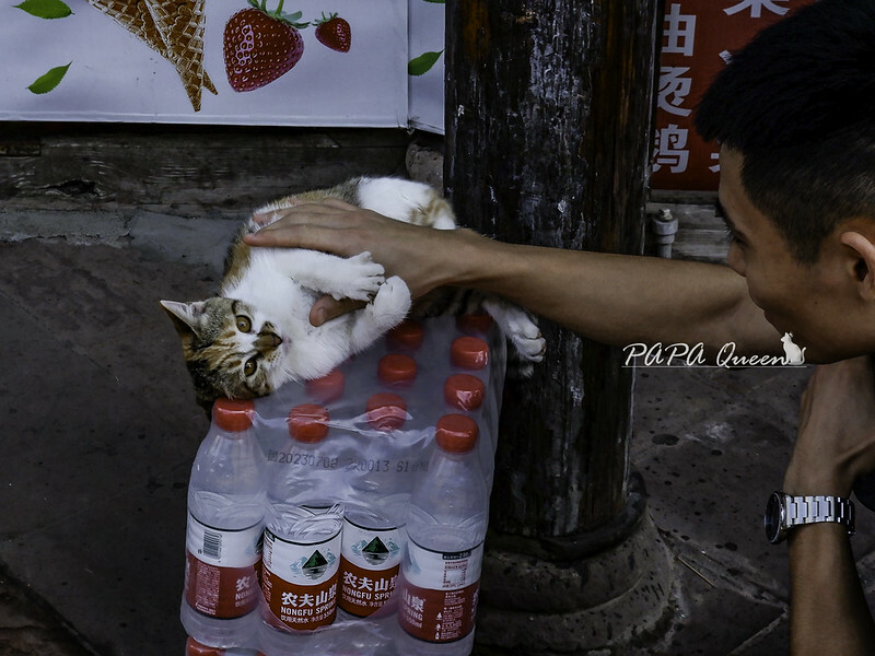 洛帶古鎮-穿越千年古鎮街道，客家土樓是壯觀的
