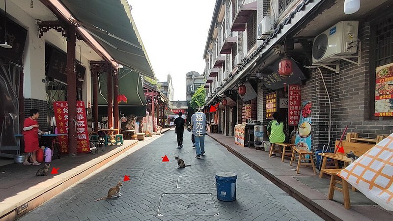 洛帶古鎮-穿越千年古鎮街道，客家土樓是壯觀的