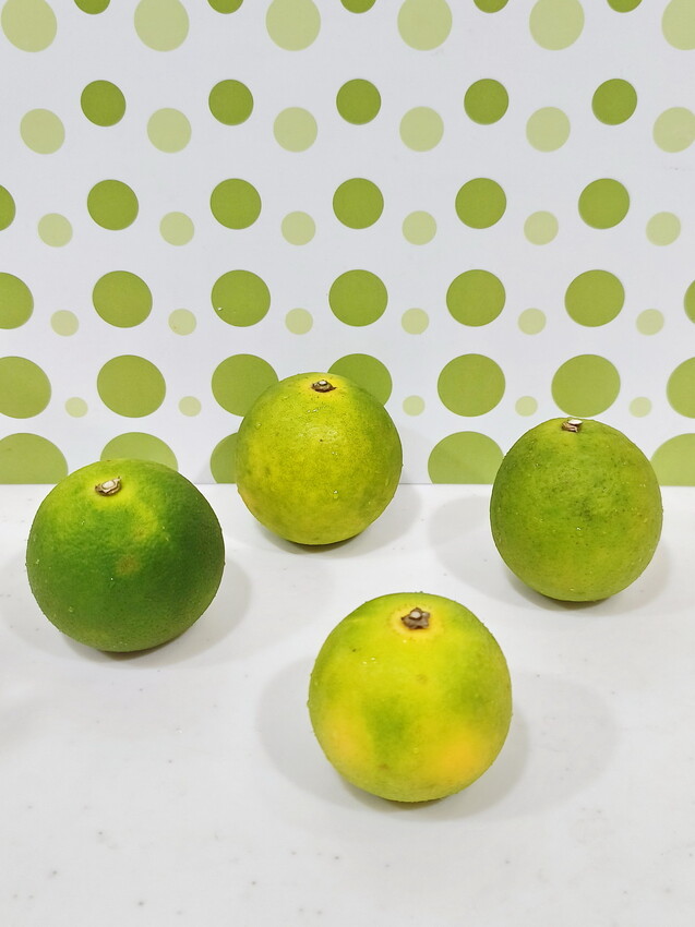 【料理必備，一機萬用】美國百年調理機品牌Vitamix,美食饕客的最愛 - TinTin緹緹的旋律