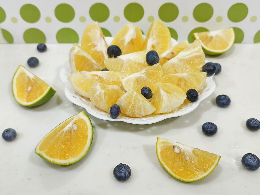 【料理必備，一機萬用】美國百年調理機品牌Vitamix,美食饕客的最愛 - TinTin緹緹的旋律