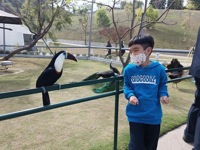 九九峰動物樂園35