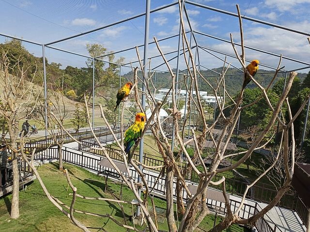 九九峰動物樂園23