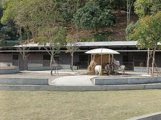 九九峰動物樂園11