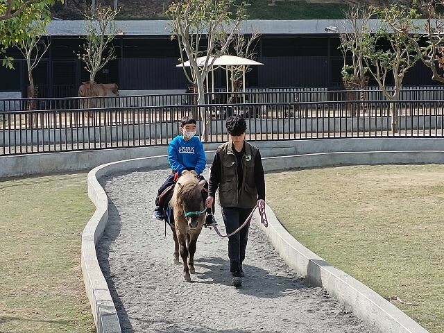 九九峰動物樂園49