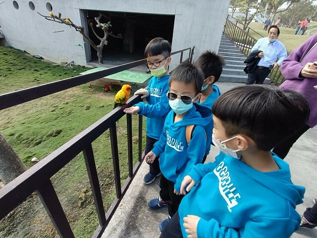 九九峰動物樂園24