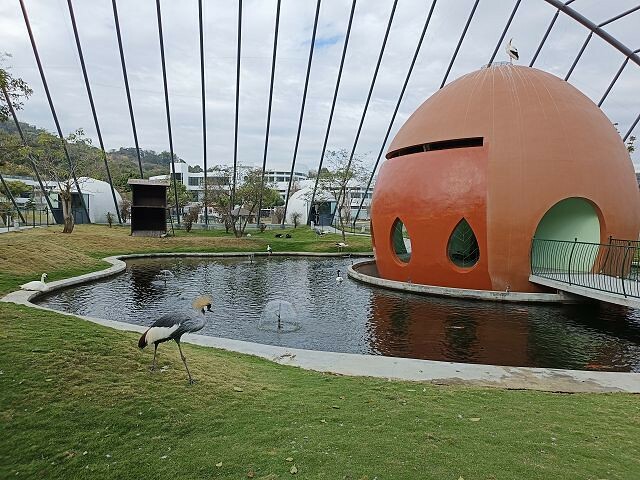 九九峰動物樂園44