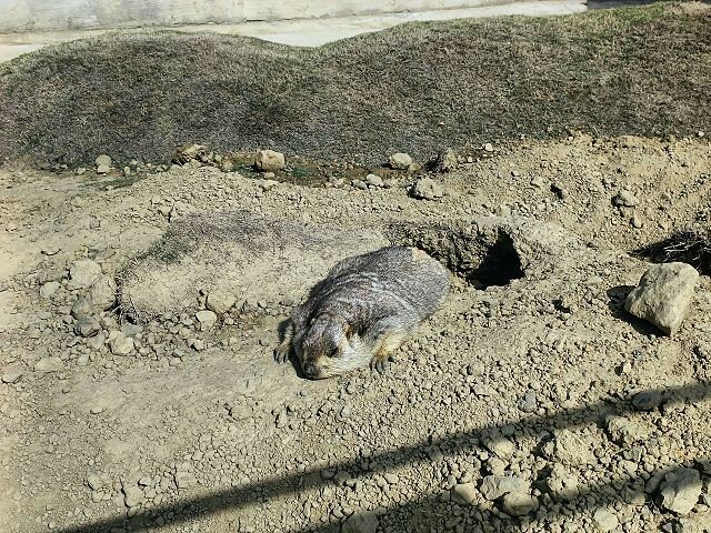 九九峰動物樂園15