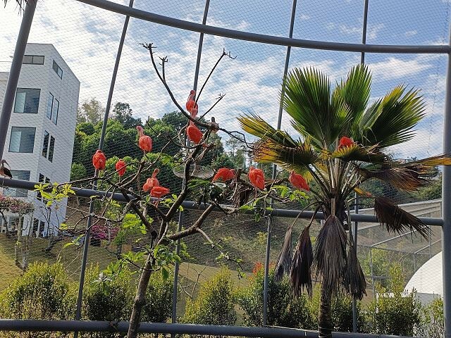 九九峰動物樂園09