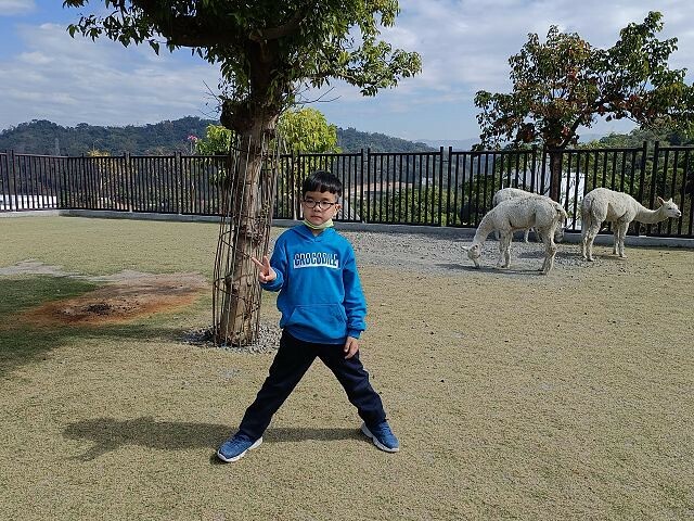 九九峰動物樂園18