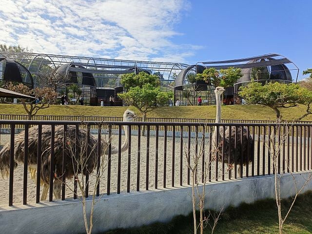九九峰動物樂園05