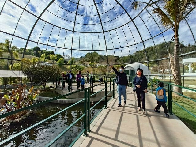 九九峰動物樂園38