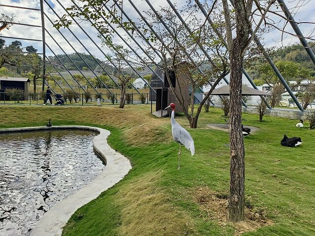 九九峰動物樂園42