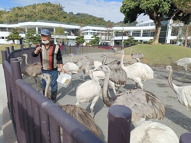九九峰動物樂園06