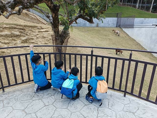 九九峰動物樂園16