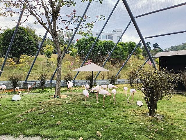 九九峰動物樂園43
