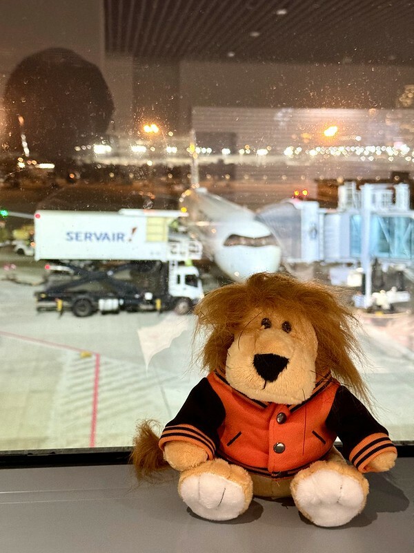 澳門旅遊｜星宇航空（STARLUX Airlines）飛澳門（Macau）初體驗。（搭機心得、機上餐點、飛行時間、票價）