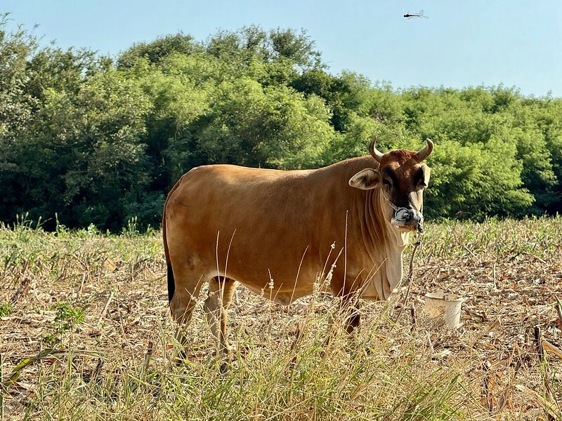 金門自由行|3天2夜自駕遊行程規劃,交通、景點、美食、住宿、伴手禮。(金門旅遊懶人包)