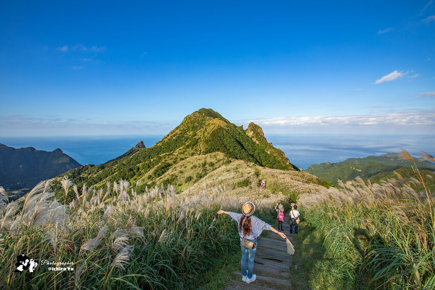 【新北景點】2023瑞芳半屏山步道‧賞芒草芒花美景│102縣道瑞雙公路‧不厭亭夕陽芒草│九份金瓜石芒草季│網美拍