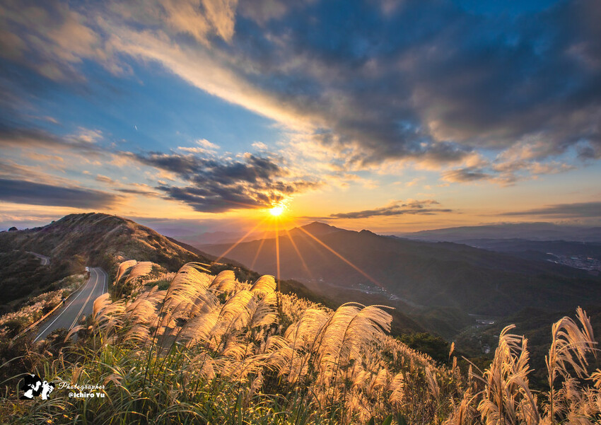【新北景點】2023瑞芳半屏山步道‧賞芒草芒花美景│102縣道瑞雙公路‧不厭亭夕陽芒草│九份金瓜石芒草季│網美拍