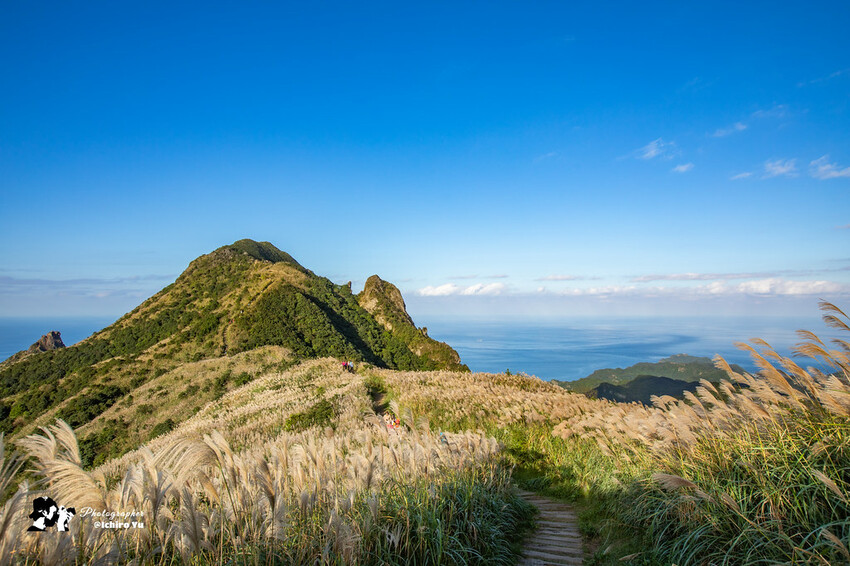 【新北景點】2023瑞芳半屏山步道‧賞芒草芒花美景│102縣道瑞雙公路‧不厭亭夕陽芒草│九份金瓜石芒草季│網美拍