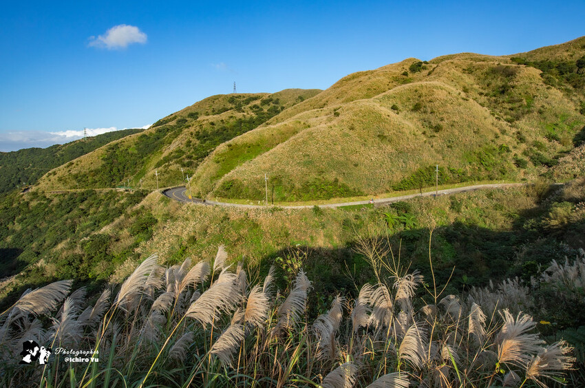 【新北景點】2023瑞芳半屏山步道‧賞芒草芒花美景│102縣道瑞雙公路‧不厭亭夕陽芒草│九份金瓜石芒草季│網美拍