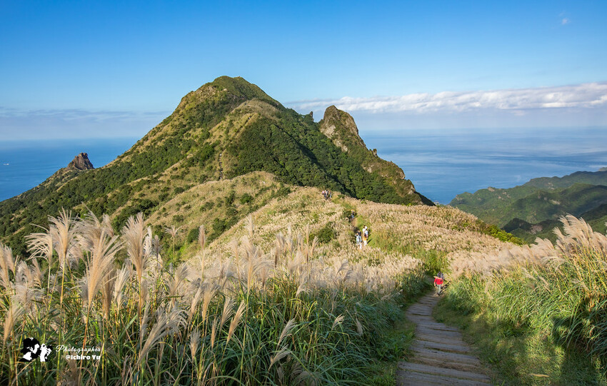 【新北景點】2023瑞芳半屏山步道‧賞芒草芒花美景│102縣道瑞雙公路‧不厭亭夕陽芒草│九份金瓜石芒草季│網美拍