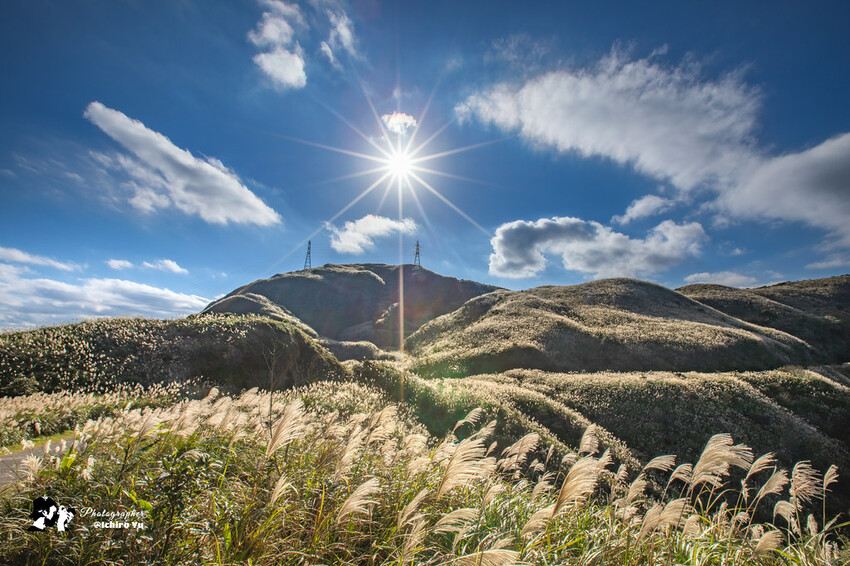 【新北景點】2023瑞芳半屏山步道‧賞芒草芒花美景│102縣道瑞雙公路‧不厭亭夕陽芒草│九份金瓜石芒草季│網美拍