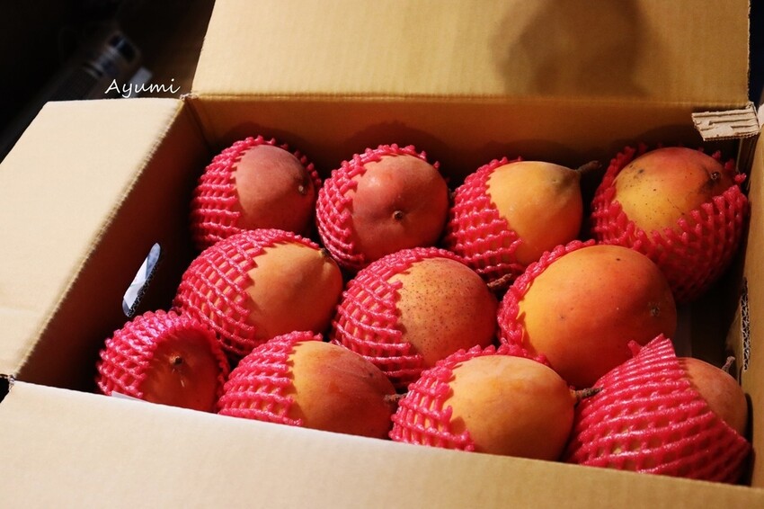 [台南夏季楠西之旅推薦]行動城堡芒果冰/江家古厝/果農之家水果餐/玄空法寺/永興吊橋/玉井之門果乾/梅花飯店