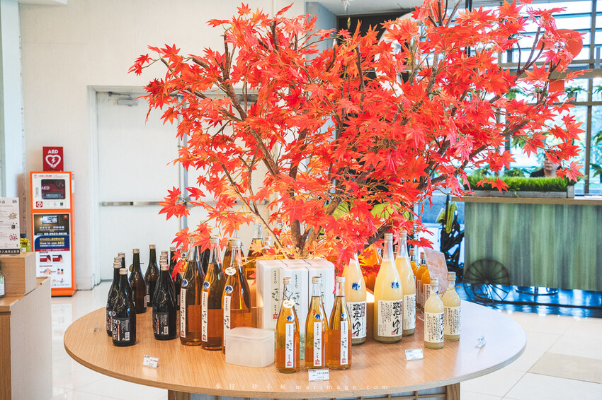 桃園購物｜大江購物中心MetroWalk～最美室內聖誕裝置藝術就在大江，好拍、好買、好好逛！還整年免費停車