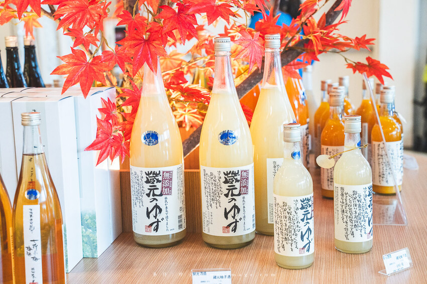 桃園購物｜大江購物中心MetroWalk～最美室內聖誕裝置藝術就在大江，好拍、好買、好好逛！還整年免費停車