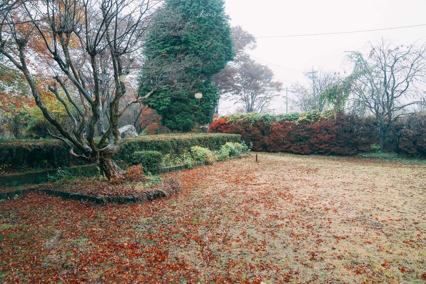 【九州熊本│美食】高森田楽村。熊本阿蘇美食推薦,神秘不為人知的餐廳,傳統炭火鄉土料理