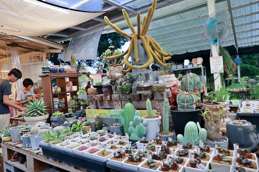 雲林創樂子生活學苑|雲林古坑網美夢幻療癒庭園!隱藏版文青多肉手作DIY.下午茶咖啡甜點