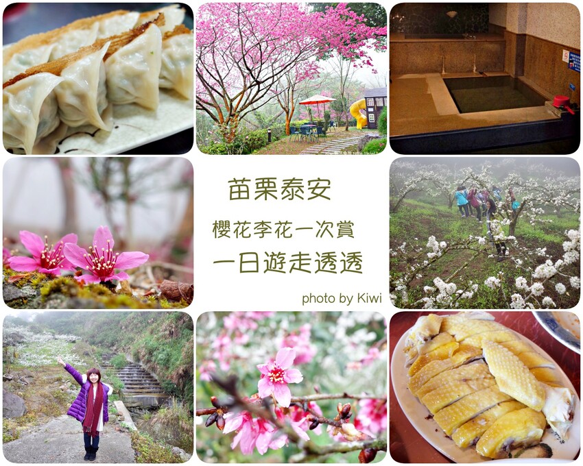 週末玩苗栗景點規劃懶人包！苗栗怎麼玩？苗栗42條一日遊.二日遊精選行程(苗栗住宿.美食.景點100個全攻略)20