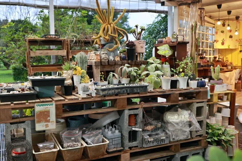 雲林創樂子生活學苑|雲林古坑網美夢幻療癒庭園!隱藏版文青多肉手作DIY.下午茶咖啡甜點