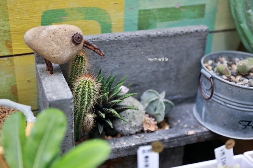 雲林創樂子生活學苑|雲林古坑網美夢幻療癒庭園!隱藏版文青多肉手作DIY.下午茶咖啡甜點