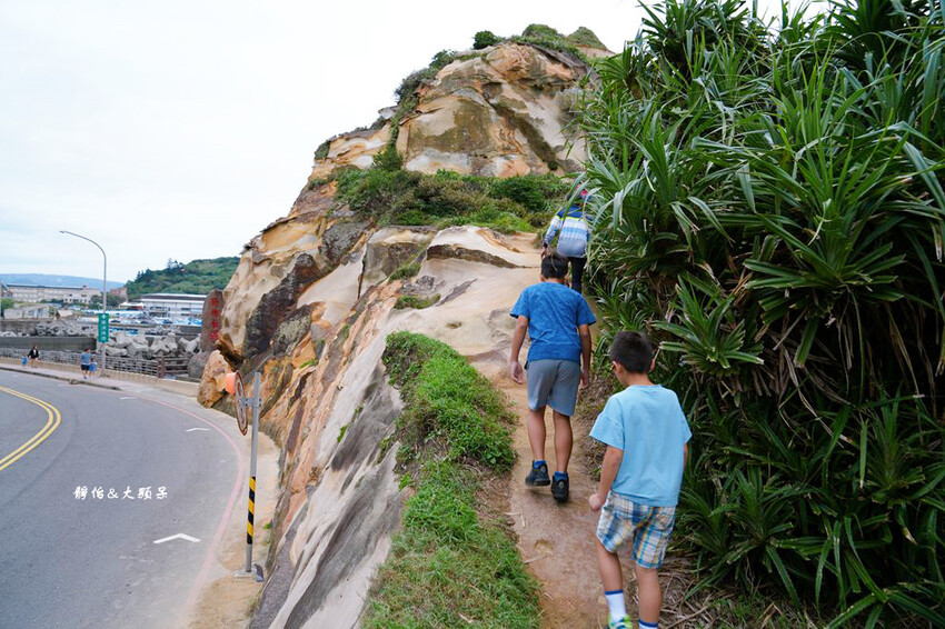 萬里駱駝峰 ❙ 五分鐘登上神秘金黃色碉堡，北海岸一日遊，新北