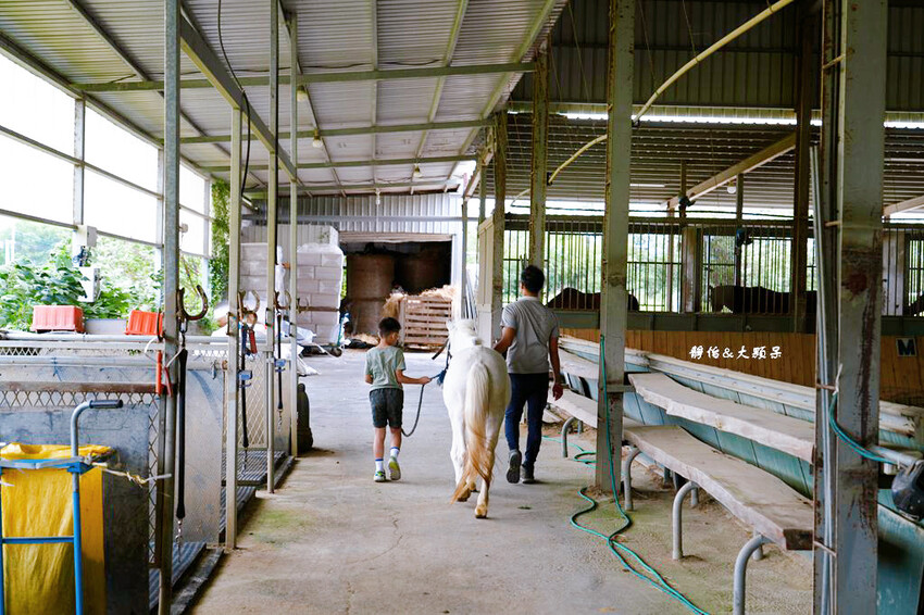 尼普頓馬術創藝園區 ❙ 體驗幫馬兒刷毛、穿裝備的樂趣，戶外騎