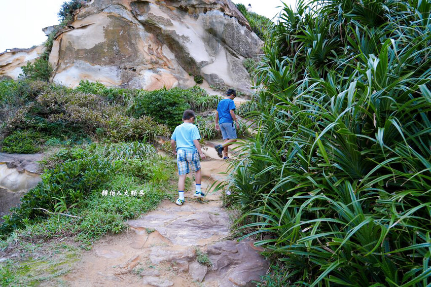萬里駱駝峰 ❙ 五分鐘登上神秘金黃色碉堡，北海岸一日遊，新北