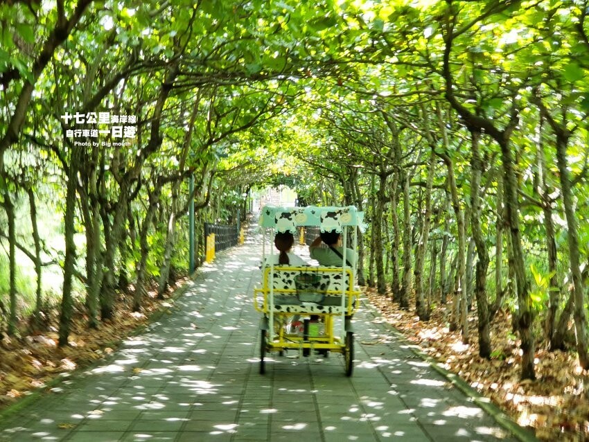 【竹南親子一日遊】四方鮮乳牧場、白沙屯拱天宮、麵容餃好、獅山親子公園、南寮漁港、後龍好望角!