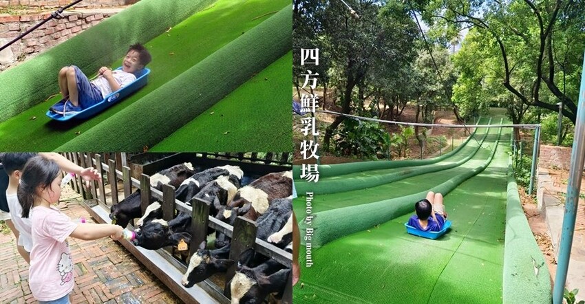 【竹南親子一日遊】四方鮮乳牧場、白沙屯拱天宮、麵容餃好、獅山親子公園、南寮漁港、後龍好望角!