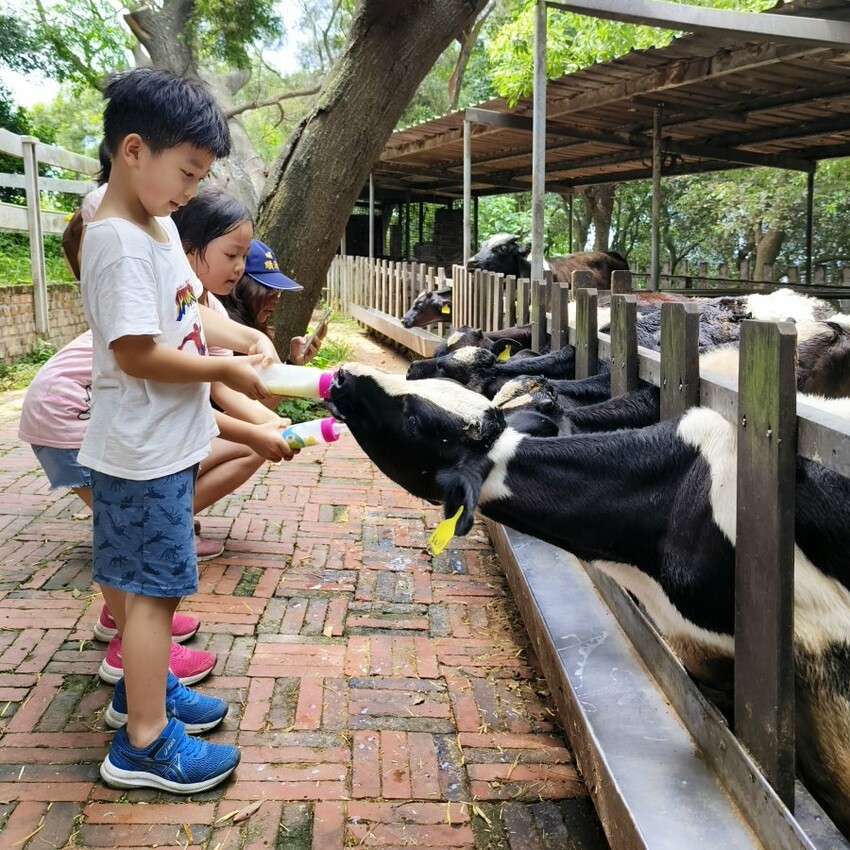 【竹南親子一日遊】四方鮮乳牧場、白沙屯拱天宮、麵容餃好、獅山親子公園、南寮漁港、後龍好望角!
