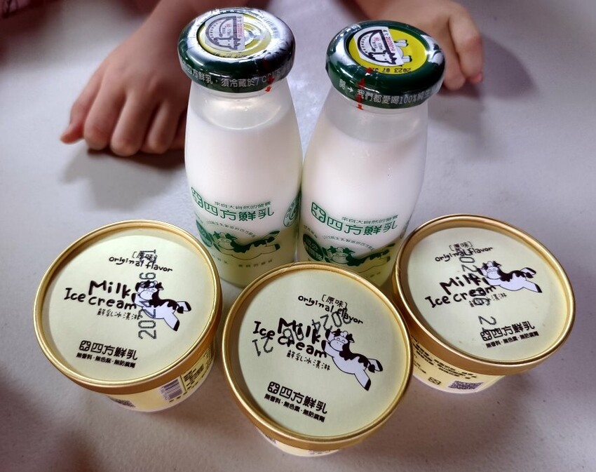 【竹南親子一日遊】四方鮮乳牧場、白沙屯拱天宮、麵容餃好、獅山親子公園、南寮漁港、後龍好望角!