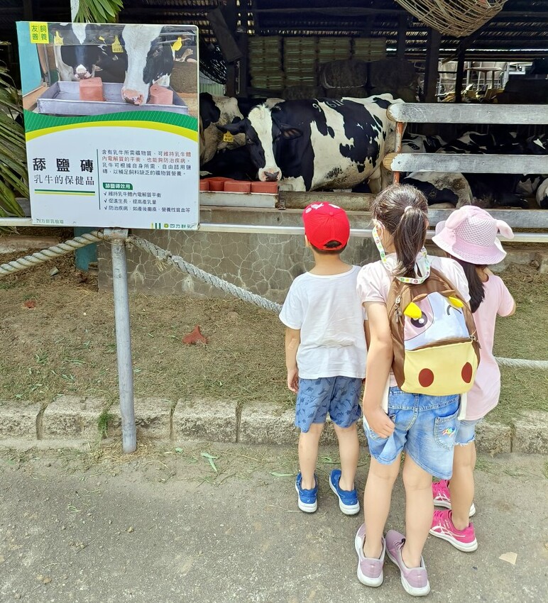【竹南親子一日遊】四方鮮乳牧場、白沙屯拱天宮、麵容餃好、獅山親子公園、南寮漁港、後龍好望角!
