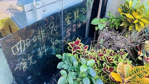 大IMG_4670 (1).jpeg