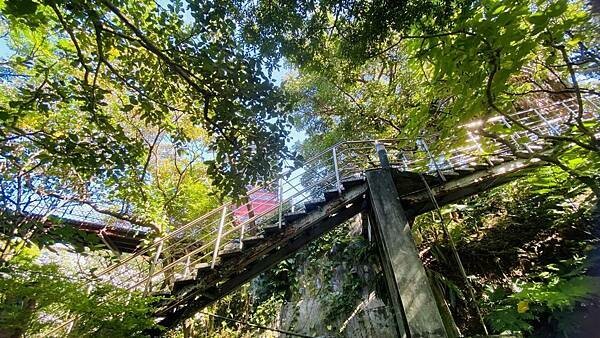 大IMG_4590 (1).jpeg